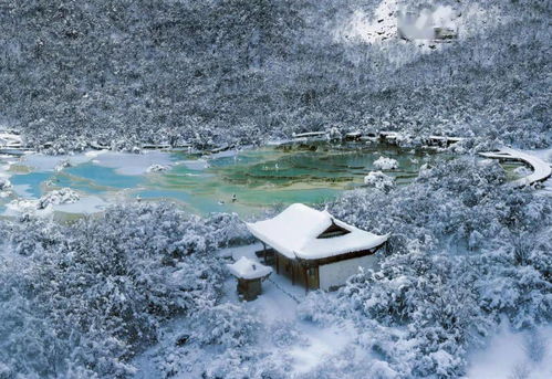 冰雪溫泉大禮包來襲 暖冬旅行的極致體驗